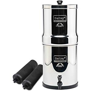 Best Countertop Water Filter Big Berkey Review 2020 Qwl