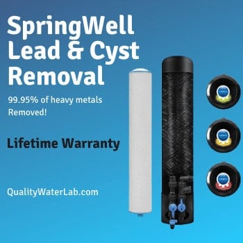 Springwell Lead & Cyst Removal System