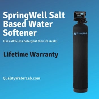 Springwell Salt-based SS1 Review