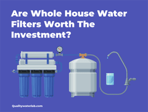 are whole house water filtration systems worth it?