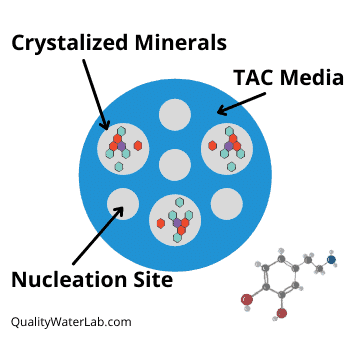 what is template assisted crystallization media illustration
