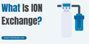 What Is ION Exchange?