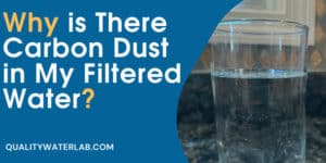 Black specks or carbon dust in Water?