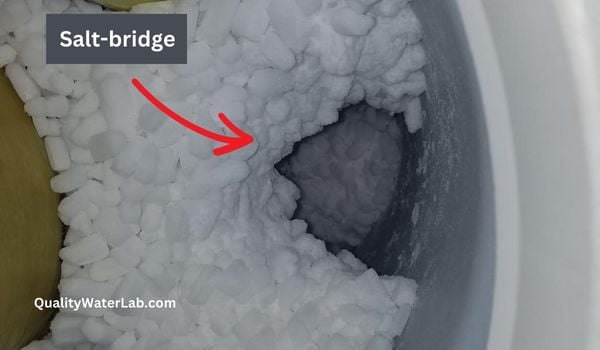 salt-bridge