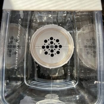 Top view looking inside the Clearly Filtered water filter pitcher showing the installed cartridge.