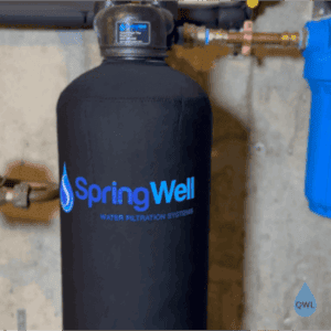SpringWell CF1 whole house water filter installed with black tank, blue pre-filter housing, and irrigation and filtration bypass valves.