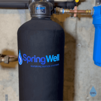 SpringWell CF1 whole house water filter installed with black tank, blue pre-filter housing, and irrigation and filtration bypass valves.
